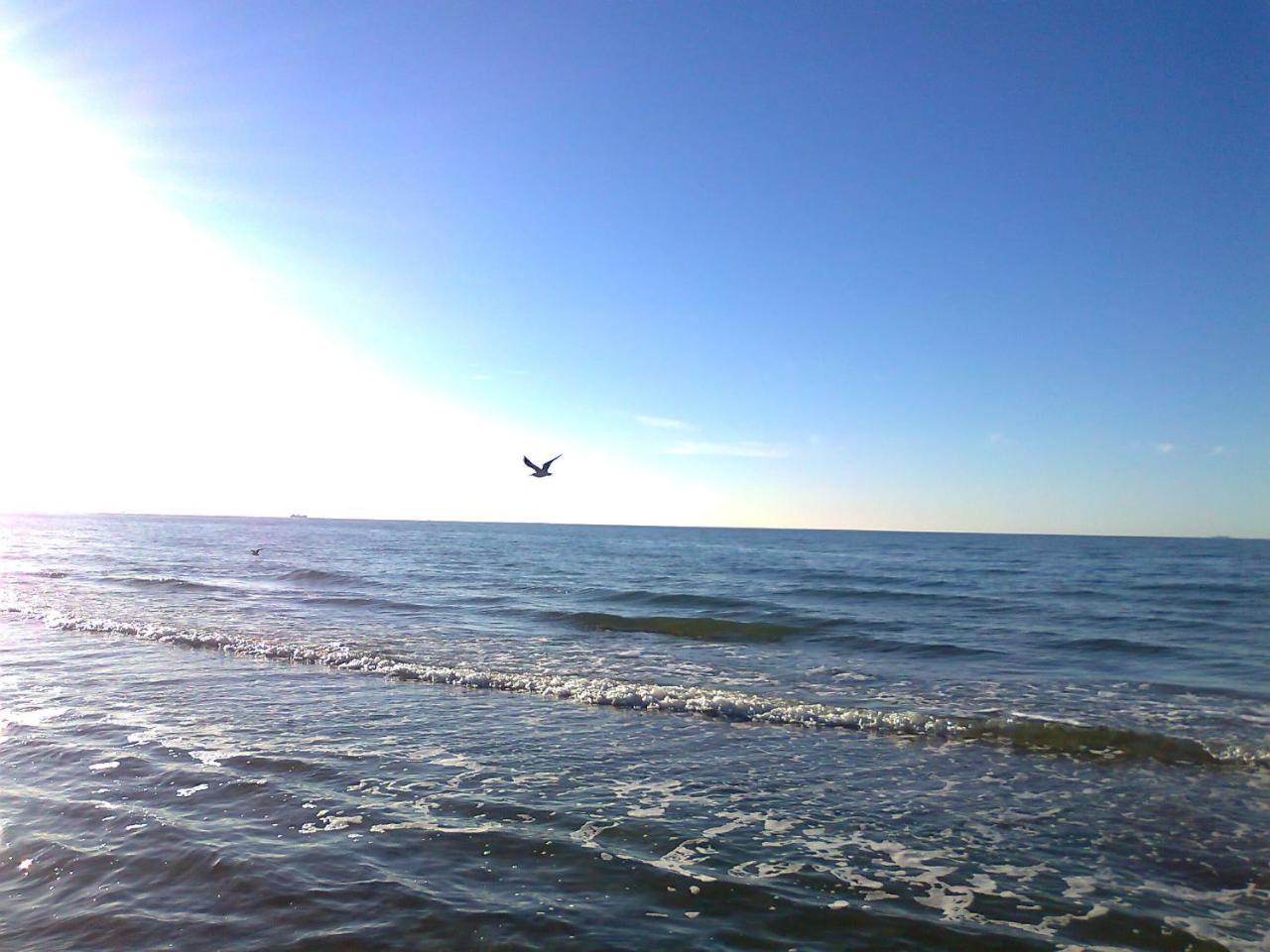 Schoenes Appartement Am Meer In เรลิค ภายนอก รูปภาพ